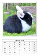 Oktober_Kaninchen_1.pdf